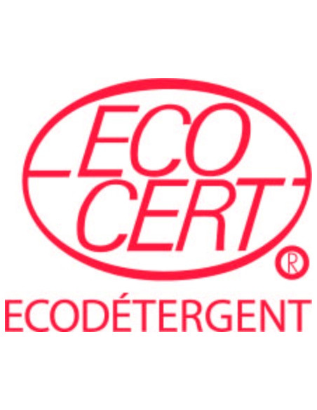 Dégraissant à la menthe Ecodétergent