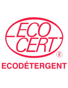 Nettoyant désinfectant 5 L 2